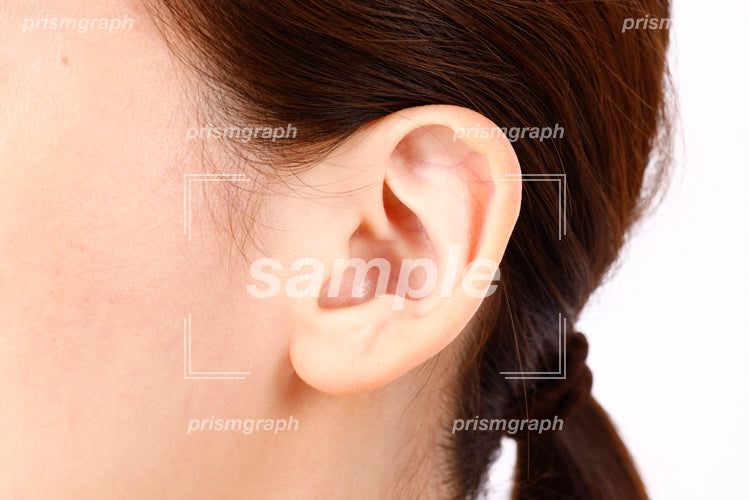 耳、女性の顔のパーツ aq0090112