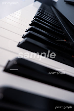 ピアノの鍵盤 左側から撮影した b0040001PH
