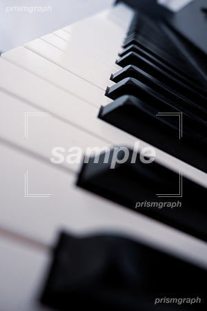 ピアノの鍵盤と黒鍵 左側から撮影した b0040002PH