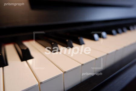 ピアノ b0040009PH