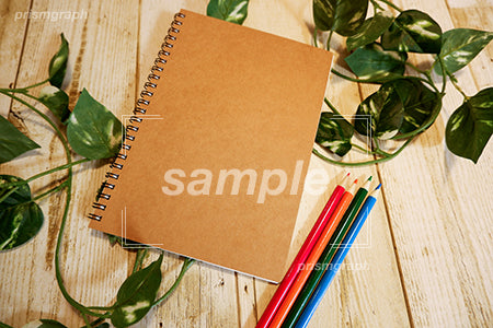 赤青などの色鉛筆とスケッチブック b0080037PH