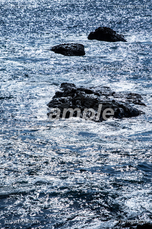 海の潮と岩 b0110010