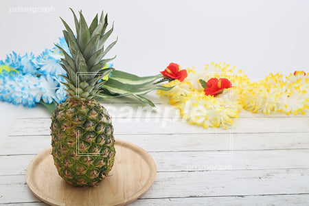 pineapple（パイナップル ） c0080006PH