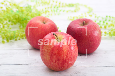 リンゴ c0120001PH