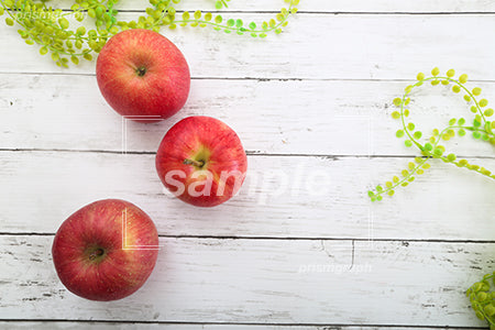 りんご（アップル） c0120008PH