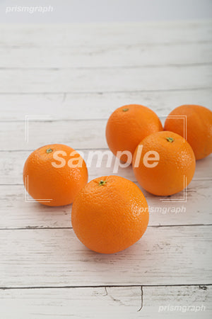 オレンジ c0130002PH