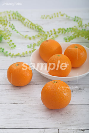 オレンジをお皿に入れたイメージ c0130006PH