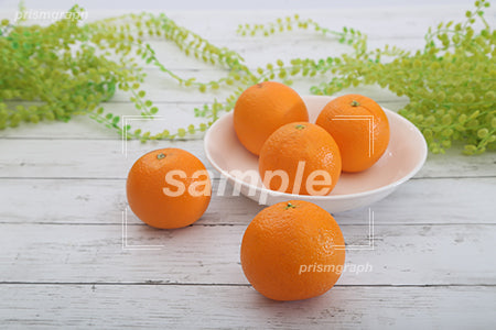白いお皿にオレンジを入れたシーン c0130007PH