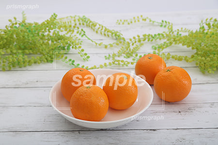 白いお皿にオレンジ三つをいれたイメージ c0130008PH
