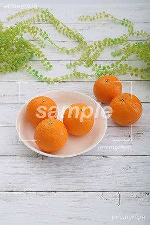 orange c0130009PH