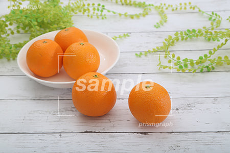 スイートオレンジをお皿にいれた c0130013PH