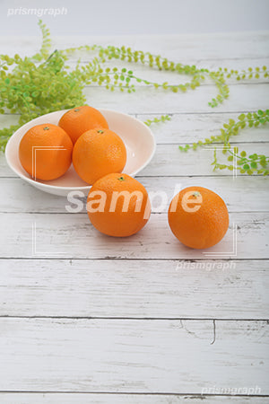 サワーオレンジをお皿に入れたシーン c0130015PH