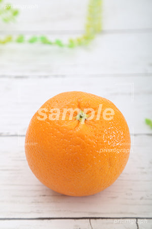 マンダリンオレンジ c0130017PH