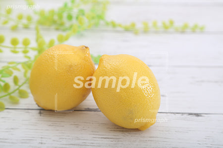 レモン c0130020PH