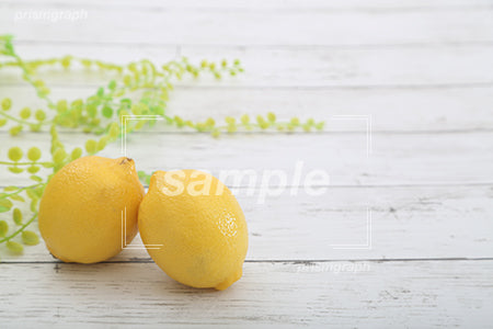 レモンを並べたシーン c0130022PH