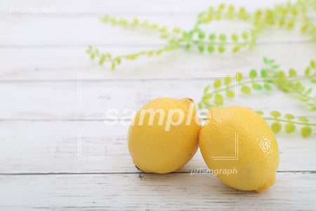 黄色いレモン c0130023PH