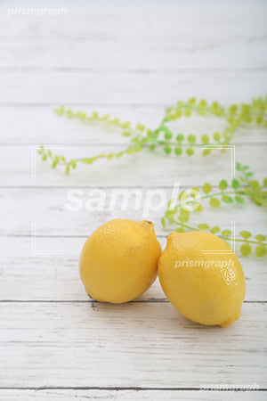 Lemon c0130024PH