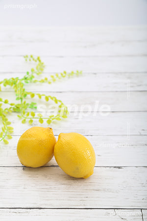檸檬２つ c0130025PH