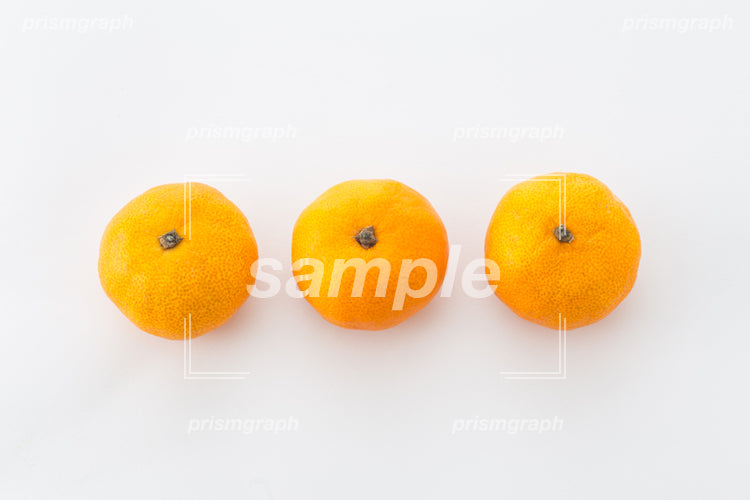 横に並べた蜜柑を上から撮影した c0150014