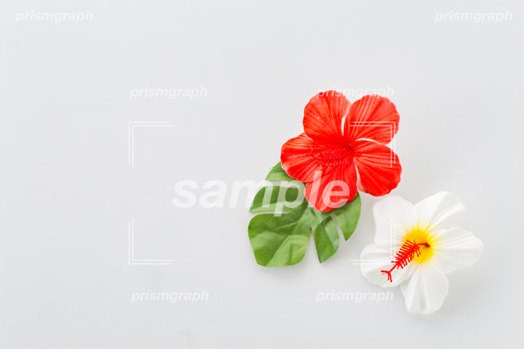 紅色の白の造花の花びら e0040056