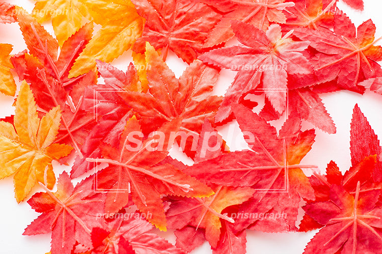 赤い色の紅葉の葉の作り物 e0070002