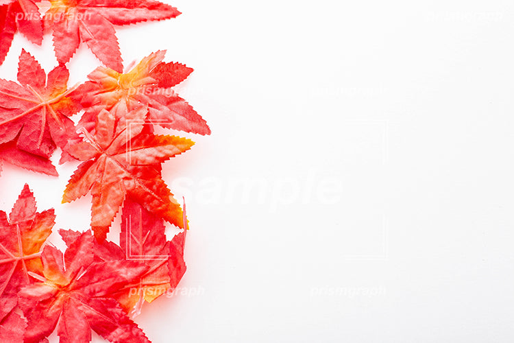 赤色のもみじの葉を模した物 e0070004