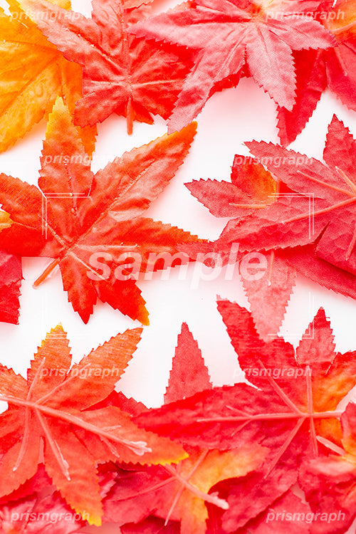 赤色の紅葉の葉の作り物 e0070005