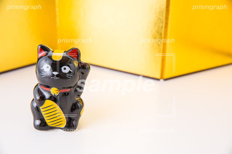 黒い招き猫と金屏風 f0070035