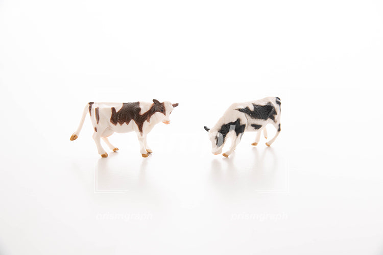 ２頭の牛のおもちゃの置物 f1511