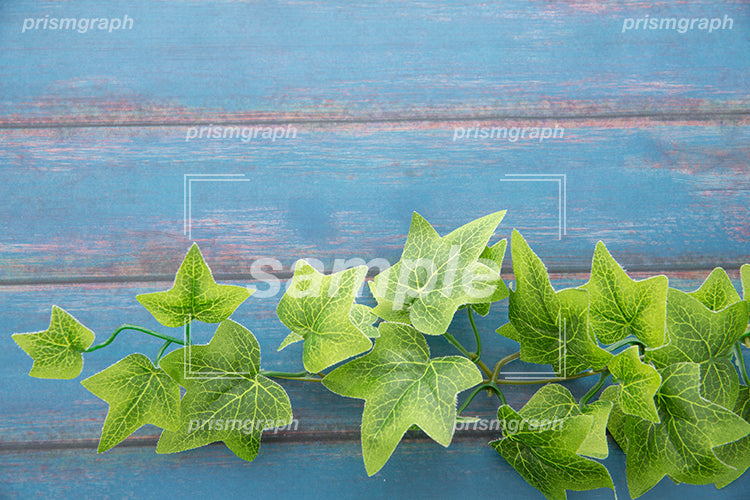 青い色のベニヤ板の木の板と緑の葉 h0403