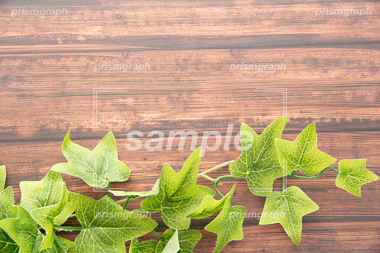 ブラウンの色の木の板とグリーンの葉っぱ h0412